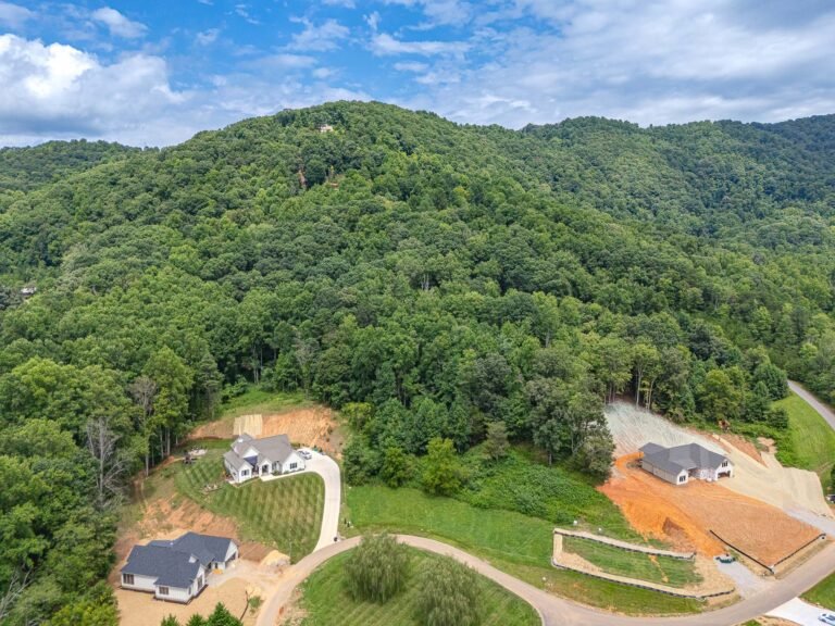 Aerial view of a lush, green forested hillside with a residential neighborhood nestled among the trees. The homes have well-manicured lawns and are surrounded by a winding road leading through the scenic landscape. The vibrant foliage and rolling terrain create a picturesque, peaceful rural setting.