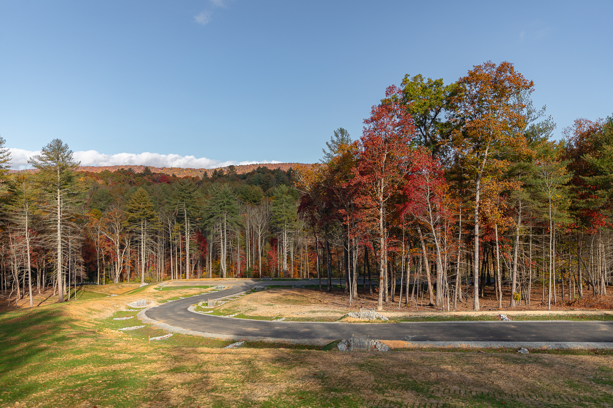 A winding paved road leads through a scenic autumn landscape, with vibrant red, orange, and yellow foliage on the trees contrasting against the clear blue sky. The road is surrounded by a lush forest, with a grassy field visible in the foreground, creating a picturesque and serene natural setting.