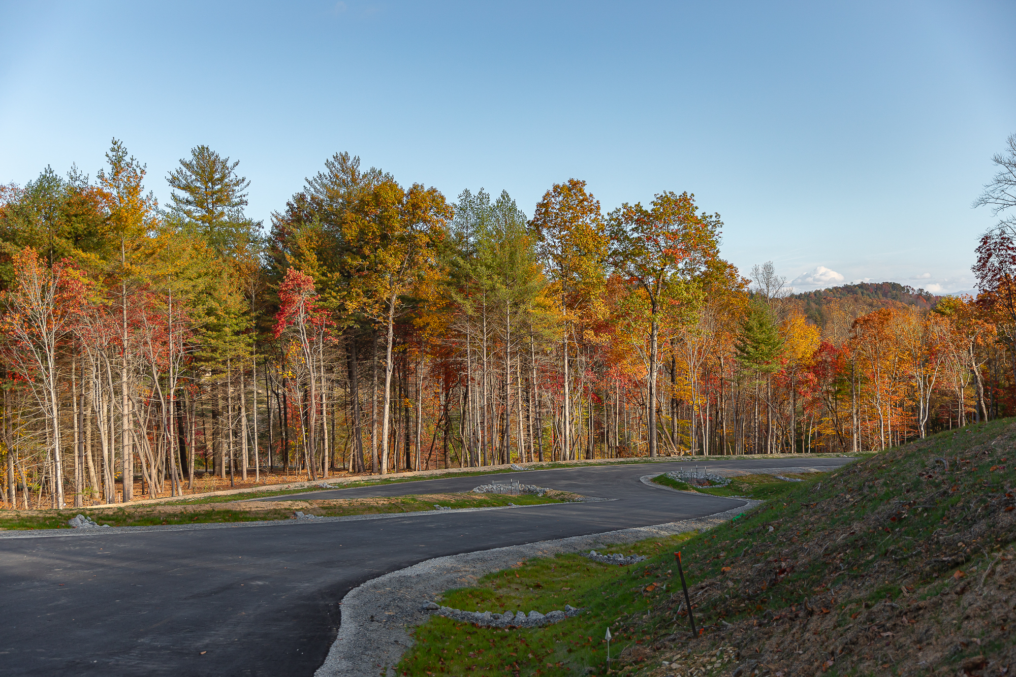 A scenic, winding road surrounded by a vibrant autumn landscape. Tall, colorful trees in shades of orange, yellow, and red line the road, creating a picturesque forest scene. The road curves gently through the hilly terrain, inviting viewers to explore the serene, natural setting.